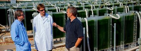 Sandia National Laboratories' Tom Reichardt, left, and Aaron Collins, center, chat with John McGowen of the Arizona Center for Algae Technology and Innovation (AzCATI). Sandia has developed several complementary technologies to help the algae industry in detecting and recovering from pond crashes, and is making use of the AzCATI test-bed facility to collect data and apply its technologies. (Photo: Steffan Schulz)