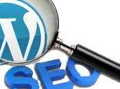 Search Engine Optimization Tips 2013
