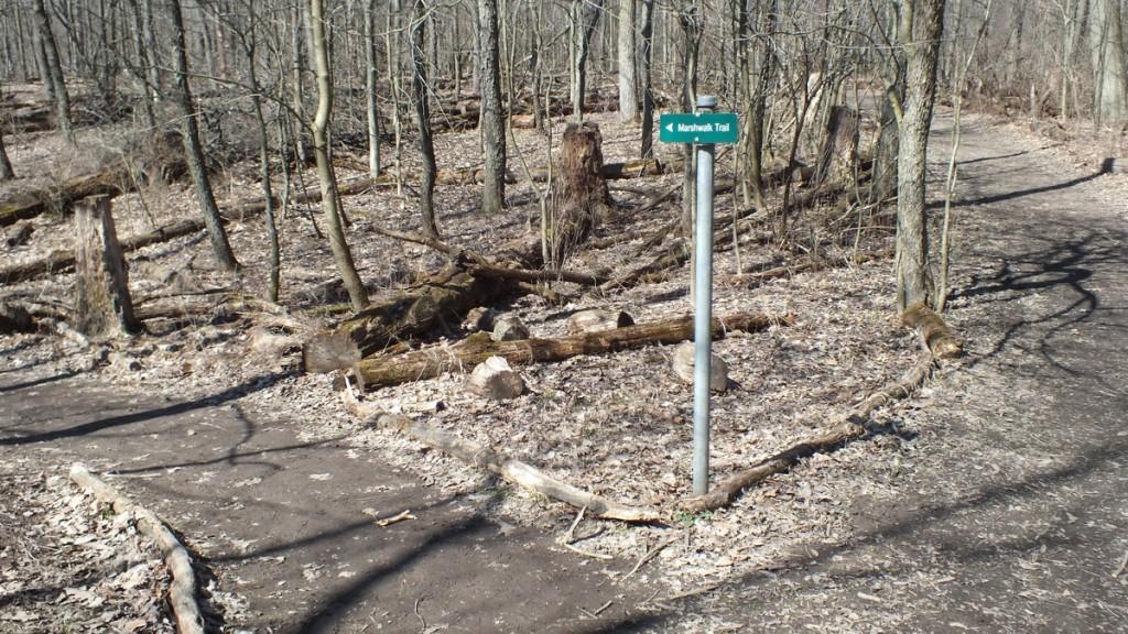 Marshwalk Trail sign - Cootes Paradise Marsh - Hamilton - Ontario
