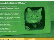 Love Cats Much?