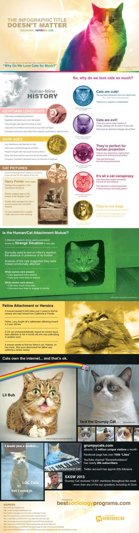 Why Do We Love Cats So Much?