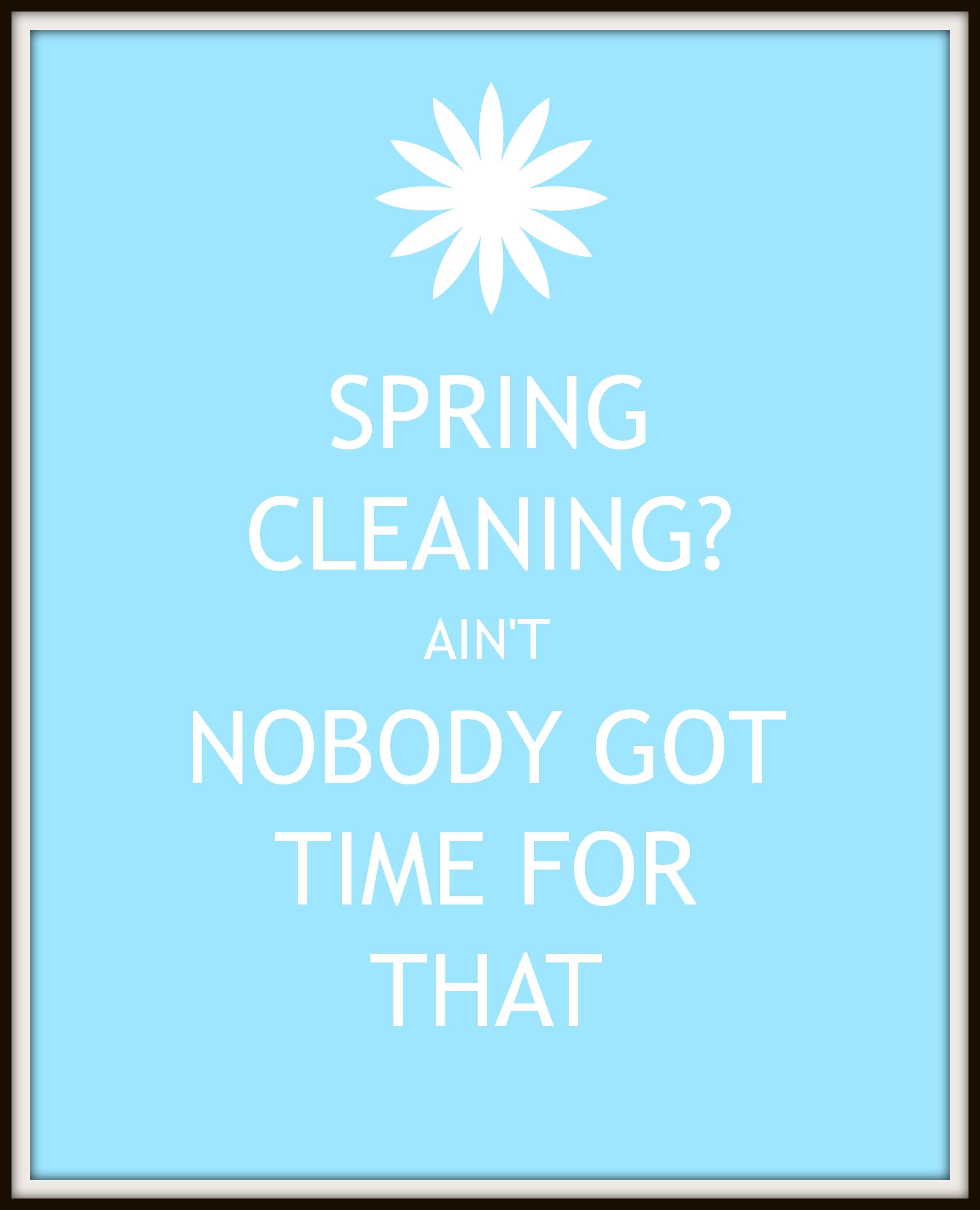SpringCleaning