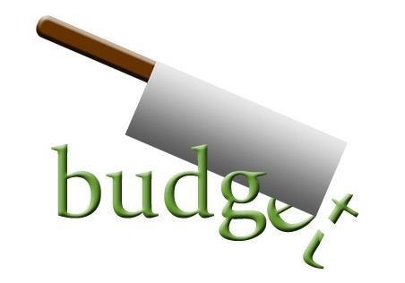 Sensible Ideas To Cut The Budget