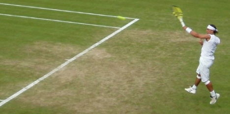 Rafael Nadal on Grass