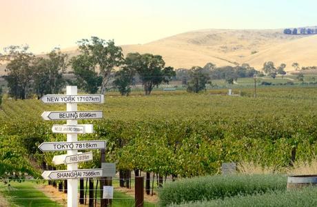 The Barossa - The Australian home of Shiraz and much more