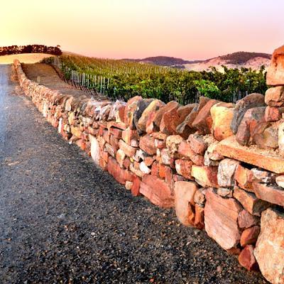 The Barossa - The Australian home of Shiraz and much more