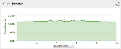 Race Report: MEC Calgary 10k