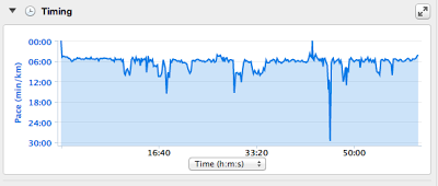 Race Report: MEC Calgary 10k