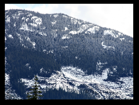 Snow on the mountain