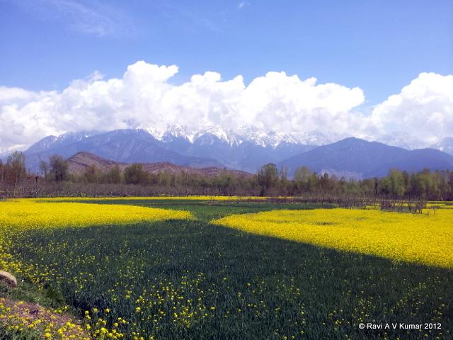 another day in paradise srinagar