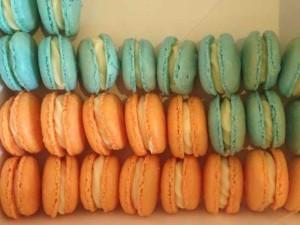 Giggle and Hoot - Orange and Blue Macarons