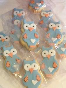 Giggle and Hoot Cookies