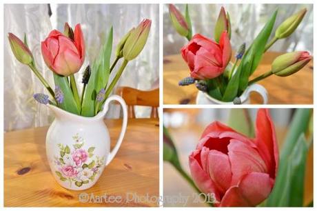 tulipcollage (1280x853)