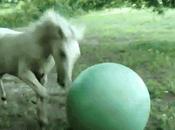 Monday Morning Fail, Exercise Ball Fails Compilation