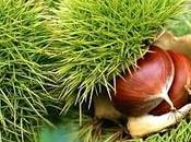 Free Planet Reality Existence Society