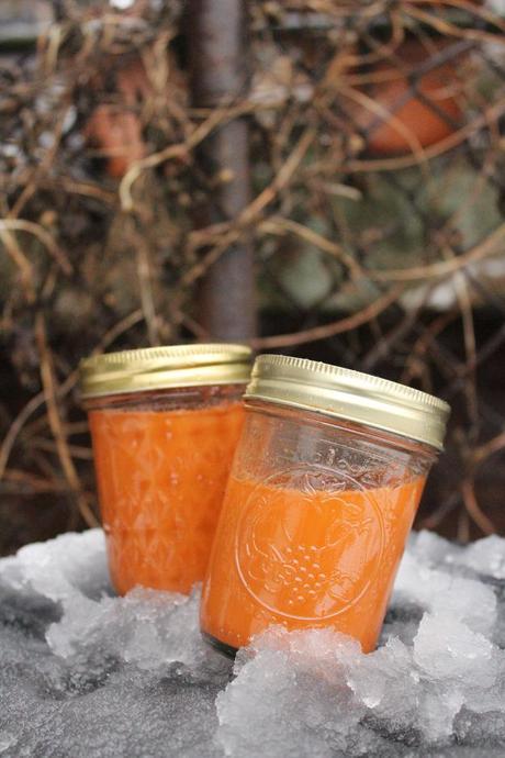 Juice of the Week: Snowy Orange Snow Dial Juice 02