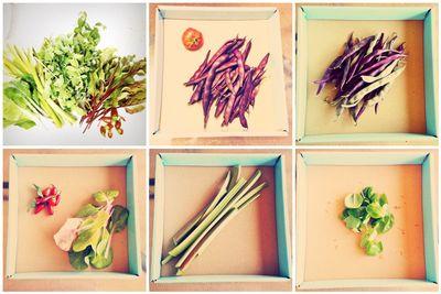 Mosaice21b8780f6e87ed8611eacd5205395f660ebbdbe