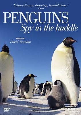 Penguins: Spy in the Huddle  (TV Series)