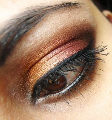 Deep Brown and Copper - EOTD