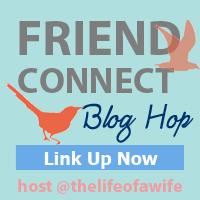 Come join the Friend Connect Blog Hop!