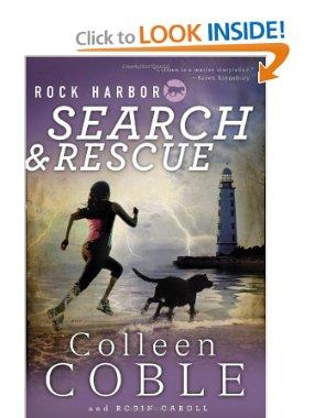 Review: Search and Rescue (Rock Harbor)