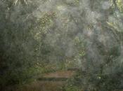 Acid Rain Causes Effects