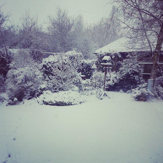 snow uk