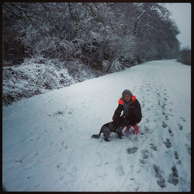 Springtime Snow