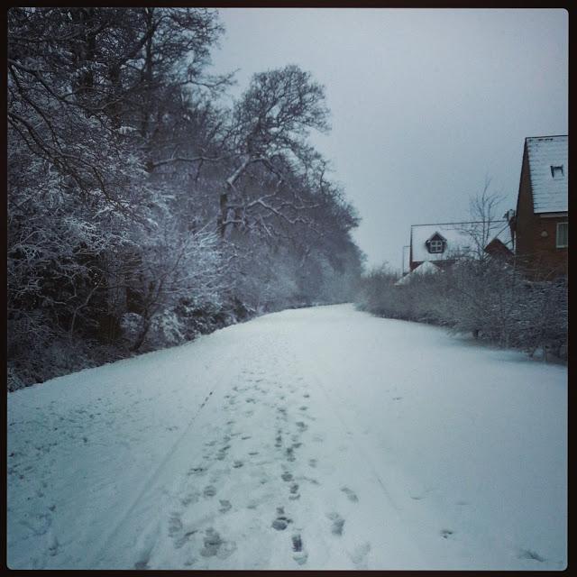 snow footprints