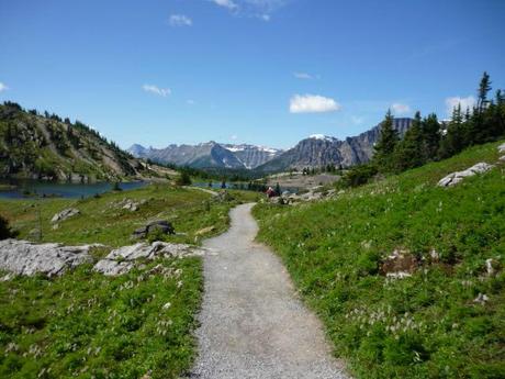 sunshine meadows_scenery