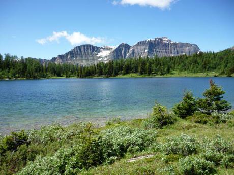 sunshine meadows scenery