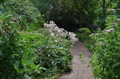 Highdown Gardens, Worthing – Revisted August 2011