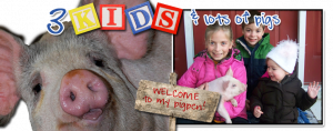 Indiana Blogs: 3 Kids and Lots of Pigs