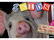 Indiana Blogs: Kids Lots Pigs