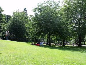 Castles, Gardens, Gin and Cream Shorts