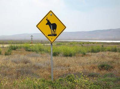 The Carrizo Plain:  A Glimpse of California's Past