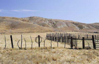 The Carrizo Plain:  A Glimpse of California's Past