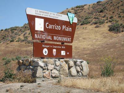 The Carrizo Plain:  A Glimpse of California's Past