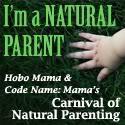 Carnival of Natural Parenting -- Hobo Mama and Code Name: Mama