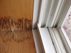 Water staining at window sill from major water leakage