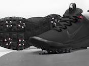 Nike Golf Shoes Help Transform Tiger Woods Game?