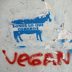 Eating Vegan in South America