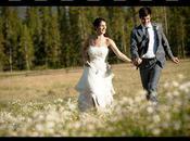 Introducing Program Showcases…