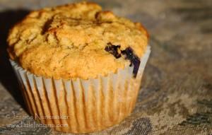 Blueberry Muffin Recipe