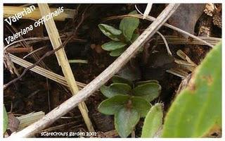 Friday Update: 12:08:2011