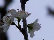 Friday Update: 12:08:2011