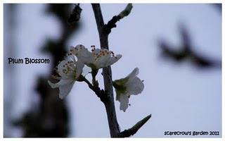 Friday Update: 12:08:2011