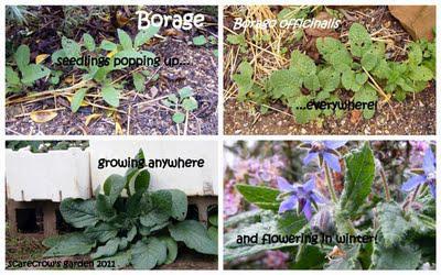 Friday Update: 12:08:2011