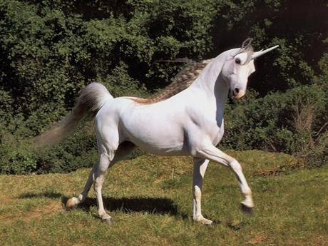 male bisexuality = unicorn? I dont think so.