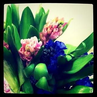 Flowers:: Instagram-ed